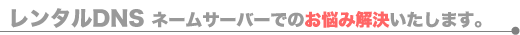 レンタルDNS